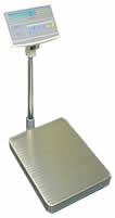 TFWa Floor Weighing Scales