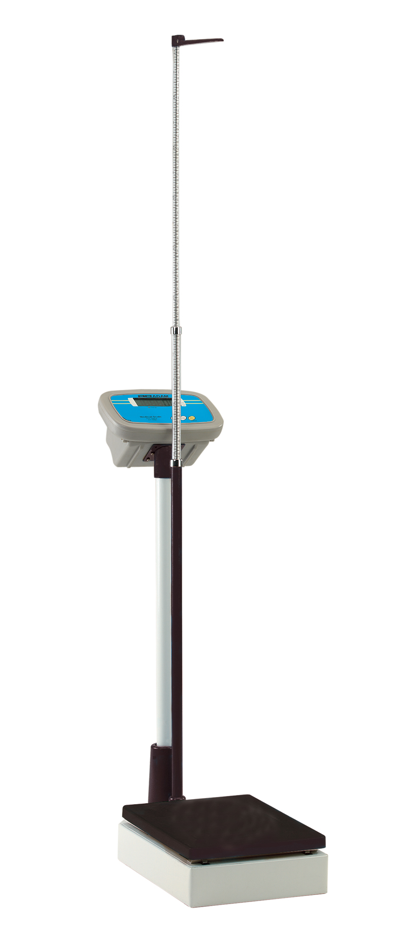 MDW-250L Digital Person Scale